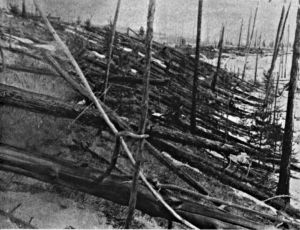 781px-Tunguska_event_fallen_trees Which god sneezed?