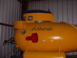 She's also a yellow submarine