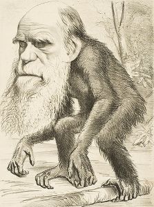 446px-Darwin_ape An early Creationist attempt at intelligent design
