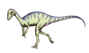 800px-Eoraptor_lunensis