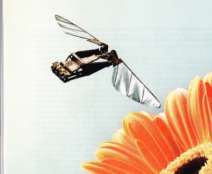 True bee or not true bee?