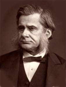 T.H.Huxley(Woodburytype)