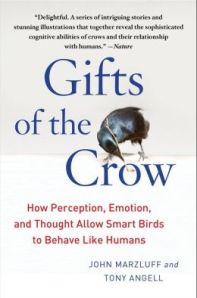 GiftsOfTheCrow