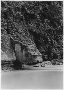 lossy-page1-428px-CLiff_being_undermined_by_the_Virgin_River._West_wall_of_Canyon_above_Temple_of_Sinawava._-_NARA_-_520458
