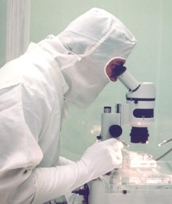 Photo credit: Marretao22, Wikimedia Commons