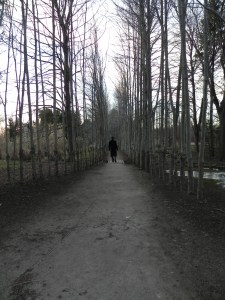 Marvin on a superlative walk