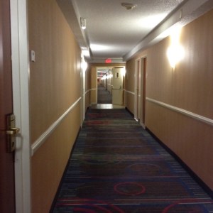 What's that shining?