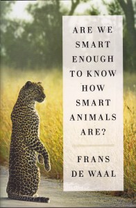 arewesmart