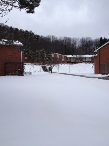 img_3106