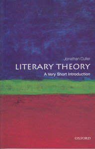 lit-theory-vsi